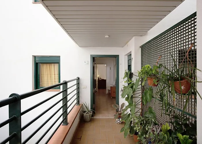 Palmeras アパート *