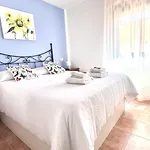 Palmeras *
