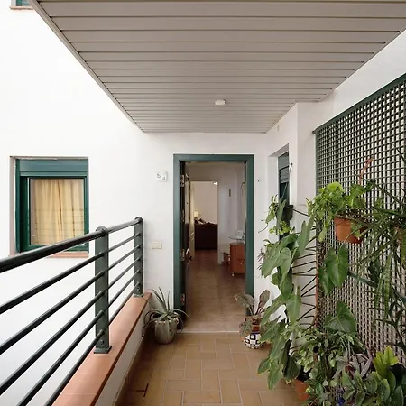 Palmeras Apartamento *