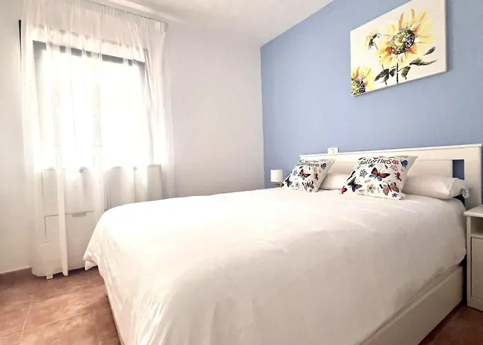 Palmeras * 그란 타라할